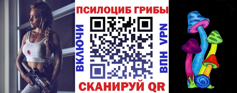что такое   blacksprut сайт  Псилоцибиновые грибы Psilocybine cubensis  Шуя 